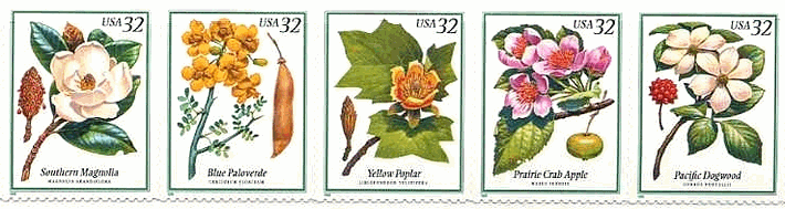 ｱﾒﾘｶの木の花と実（1998年）タイサンボク、ブルー・パロヴェルデ、ユリノキ、プレーリー・クラブ・アップル、パシフィック・ドッグクラウド（ハナミズキ）　木に咲く花と実