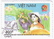 ベトナムの女性と稲刈り