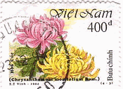 菊の花（ベトナム、1994年）