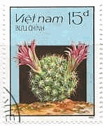 ベトナムの色々なサボテン（1987年）Temple,da nang
