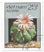 ベトナムの色々なサボテン（1987年） Bust of woman