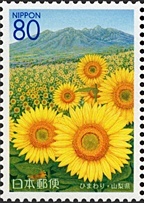 山梨県の花 2007 「ひまわり」と北杜市明野地域から、ひまわり畑越しに見た八ヶ岳