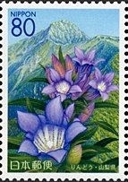 山梨県の花 2007 「りんどう」と夜叉神峠方面から見た南アルプス北岳