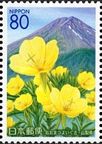 山梨県の花 2007 「おおまつよいぐさ」と河口湖畔から見た富士山