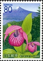 山梨県の花 2007 「あつもりそう」 と三ツ峠方面から見た富士山