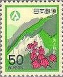 鳳来寺山とハナノキ（1979年）　国土緑化運動
