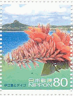 沖縄・伊江島とデイゴ(2009年）