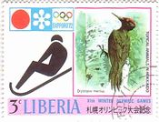 ジャポニカ　札幌オリンピック　クマゲラ（Dryocopus martius）