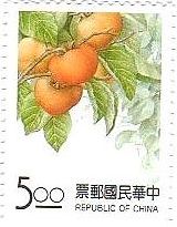 柿（カキ、台湾）