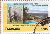 マニャラ湖国立公園（タンザニア、2000年）　ゾウ