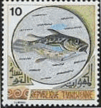 チュニジアのモザイク（1976年）　