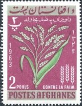 米（こめ、Rice）FAO　アフガニスタン、1963年