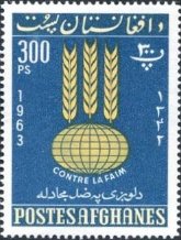 小麦　FAO　アフガニスタン、1963年