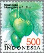 マンゴー（檬果、芒果、Mango、Mangifera indica L. ）