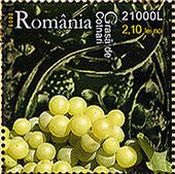 ルーマニアの葡萄品種（Grasa de Cotnari）