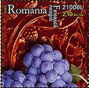 ルーマニアの葡萄品種（Feteasca alba）