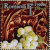 ルーマニアの葡萄品種（Feteascaneagra）