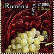 ルーマニアの葡萄品種（Victoria）