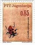 1966年、ユーゴスラビアで発行された昆虫　ナナホシテントウ（Coccinella septempunctata）