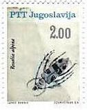 1966年、ユーゴスラビアで発行された昆虫　アルプスルリボシカミキリ（Rosalia alpina）