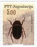 1966年、ユーゴスラビアで発行された昆虫　ヨーロッパゲンゴロウモドキ（Dytiscus marginalis）