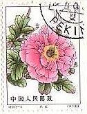切手　花　牡丹　ぼたん　中国　植物