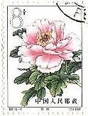 切手　花　牡丹　ぼたん　中国　植物
