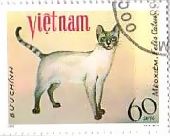 動物　切手　猫　ネコ　ベトナム　Meo xiem（シャムネコ）