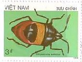 北ベトナム　昆虫　キンカメムシの一種（Chrysocoris sellatus）　切手