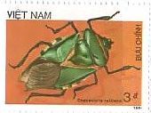 北ベトナム　昆虫　カメムシの一種（Chalcocoris rutilans）　切手