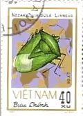ミナミアオカメムシ(Nezara viridula)　昆虫　ベトナム