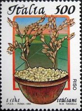 イタリアの食文化　米とオリーブ（1995年）