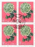 切手　花　菊　中国　植物