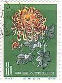 切手　花　菊　中国　植物　