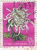 切手　花　菊　中国　植物