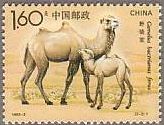 切手　動物　ラクダ　中国