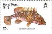 香港　魚　魚介類　切手　アラ