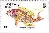 香港　魚　魚介類　切手