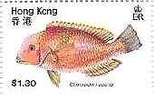 香港　魚　魚介類　切手