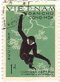 切手　動物　サル　北ベトナム