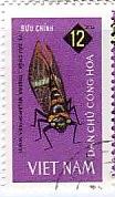 北ベトナム　昆虫　セミ　蝉　セミの一種(Tosena melanoptera),セミの一種(Cicada cicada),テングビワハゴロモ(Fulgora canderaria）