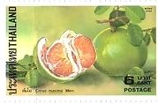 タイ　フルーツ　オレンジ　切手