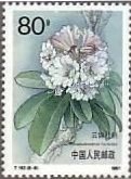 切手　花　シャクナゲ　中国