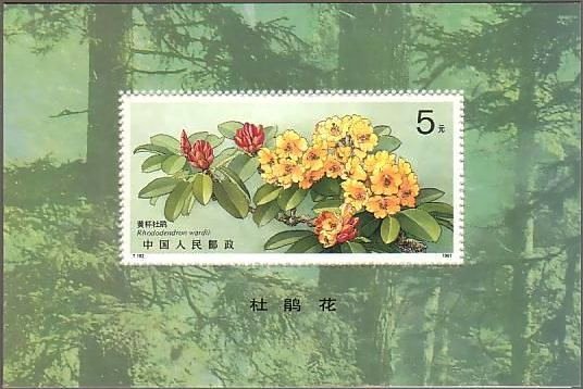 切手　花　シャクナゲ　中国　シート