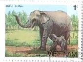 動物切手　アジアゾウ　ベトナム