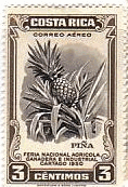 コスタリカのパイナップル　切手　果物
