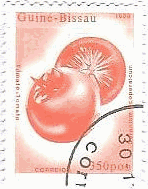 ギニアビサウ　トマト（Solanium licopersicum）　切手