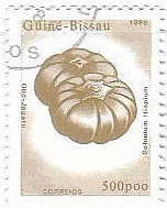 ギニアビサウ　南瓜（かぼちゃ）　切手