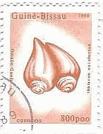 ビニアビサウ　オクラ(Hibiscus esculentus )　切手