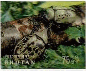 ブータン　マスク　昆虫　カブト虫　立体切手　